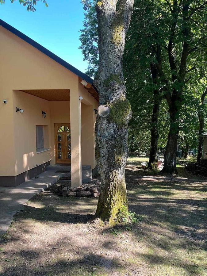 Kincs Apartman és Jurtaszállás Dobogoko Exterior foto