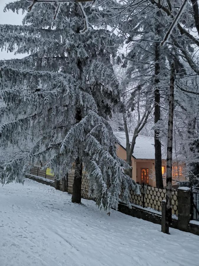 Kincs Apartman és Jurtaszállás Dobogoko Exterior foto